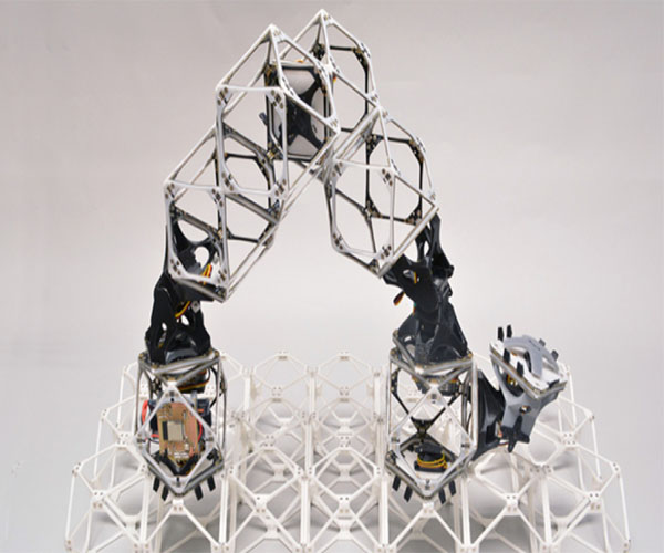 You are currently viewing The effort for Self-Assembling Robots