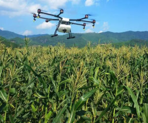 Read more about the article A Farmer’s Perspective on Drones with AI: Bridging the Gap Between Agriculture and Technology